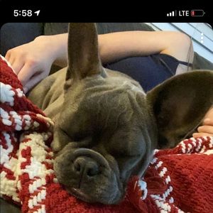 Meet your Posher, Marie